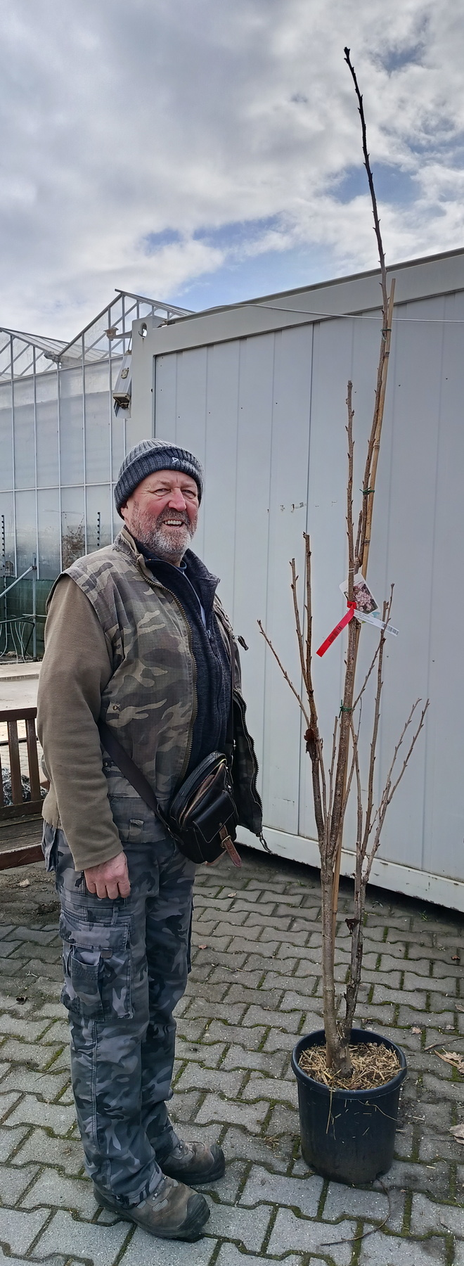 LáMa - I am choosing an ornamental tree for my ornamental garden.